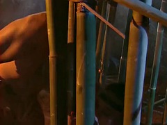 Playa, Corridas, Sexo duro, Orgía, Clasico