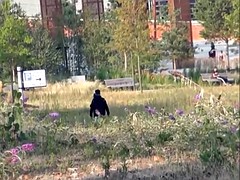 Nana, Blonde, Doigter, Exhib, Masturbation, De plein air, Chatte, Sous la jupe