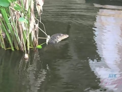 素人, 浴室, フェラチオ, 茶髪の, 食べ物, ハメ撮り, オマンコ, オッパイの