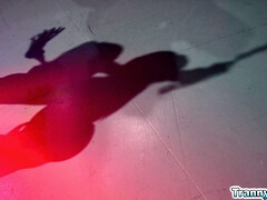 Have you seen this trans version of 50 shades of grey?