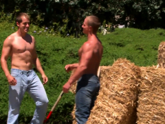 Sucer une bite, Homosexuelle, Hd, Muscle, De plein air