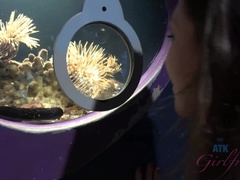 Большие сиськи, Минет, Грязь, Дрочка ногами, Подружка, От первого лица, Бритые, Сиськи