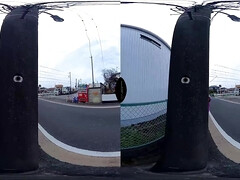 日本人, ハメ撮り