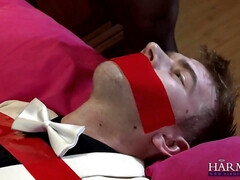 Cul, Gros cul, Gros seins, Plantureuse, Femme dominatrice, Hard, Lingerie, Mère que j'aimerais baiser