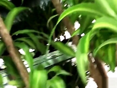 Africain, Gros cul, Sucer une bite, Classique, Noir ébène, Hd, Mamelons, Nénés