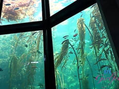 Anaal, Pijpbeurt, Sperma, Vingeren, Voetbeurt, Vriendin, Klein, Geschoren