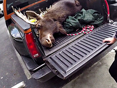 素人, デカパイ, ブロンド, フェラチオ, 茶髪の, 手コキする, オマンコ, タトゥー