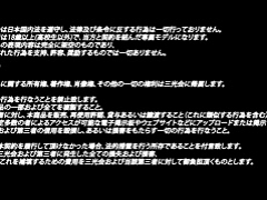 素人, アジア人, フェラチオ, 手コキする, 日本人, ハメ撮り